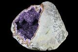Sparkling Amethyst Geode ( lbs) - Top Quality! #80882-3